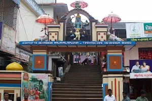 Malayalappuzha Bhagavathy Temple image