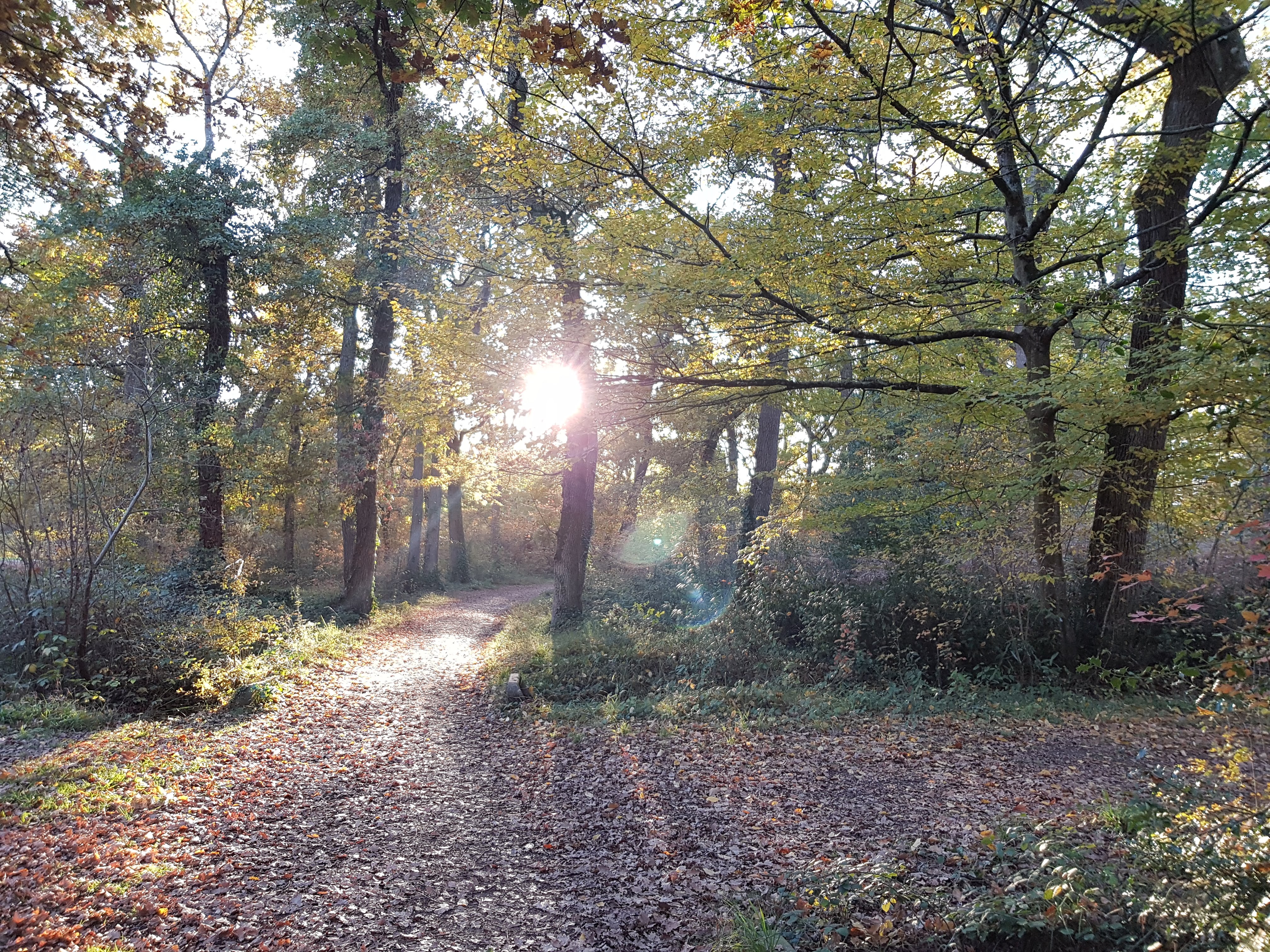 Photo n° 3 de l'avis de Valentin. fait le 20/11/2017 à 16:10
