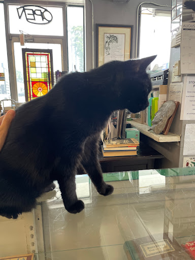 Used Book Store «Atlanta Vintage Books», reviews and photos, 3660 Clairmont Rd, Atlanta, GA 30341, USA