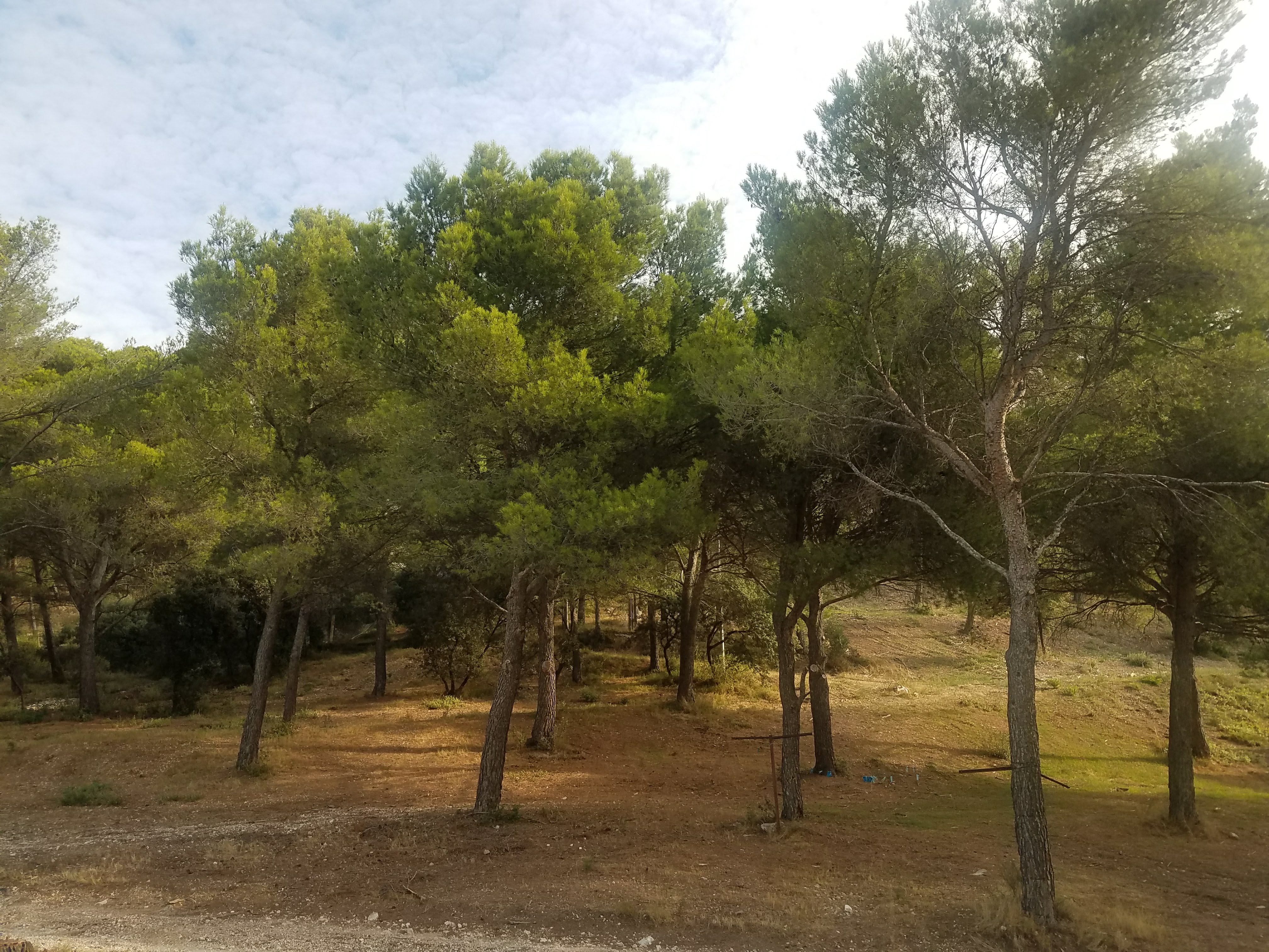 Photo n° 4 de l'avis de M'Anon.e fait le 22/07/2018 à 03:51