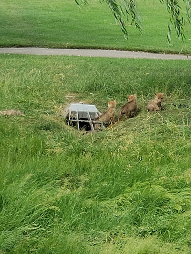 Golf Course «Glenview Park Golf Club», reviews and photos, 800 Shermer Rd, Glenview, IL 60026, USA