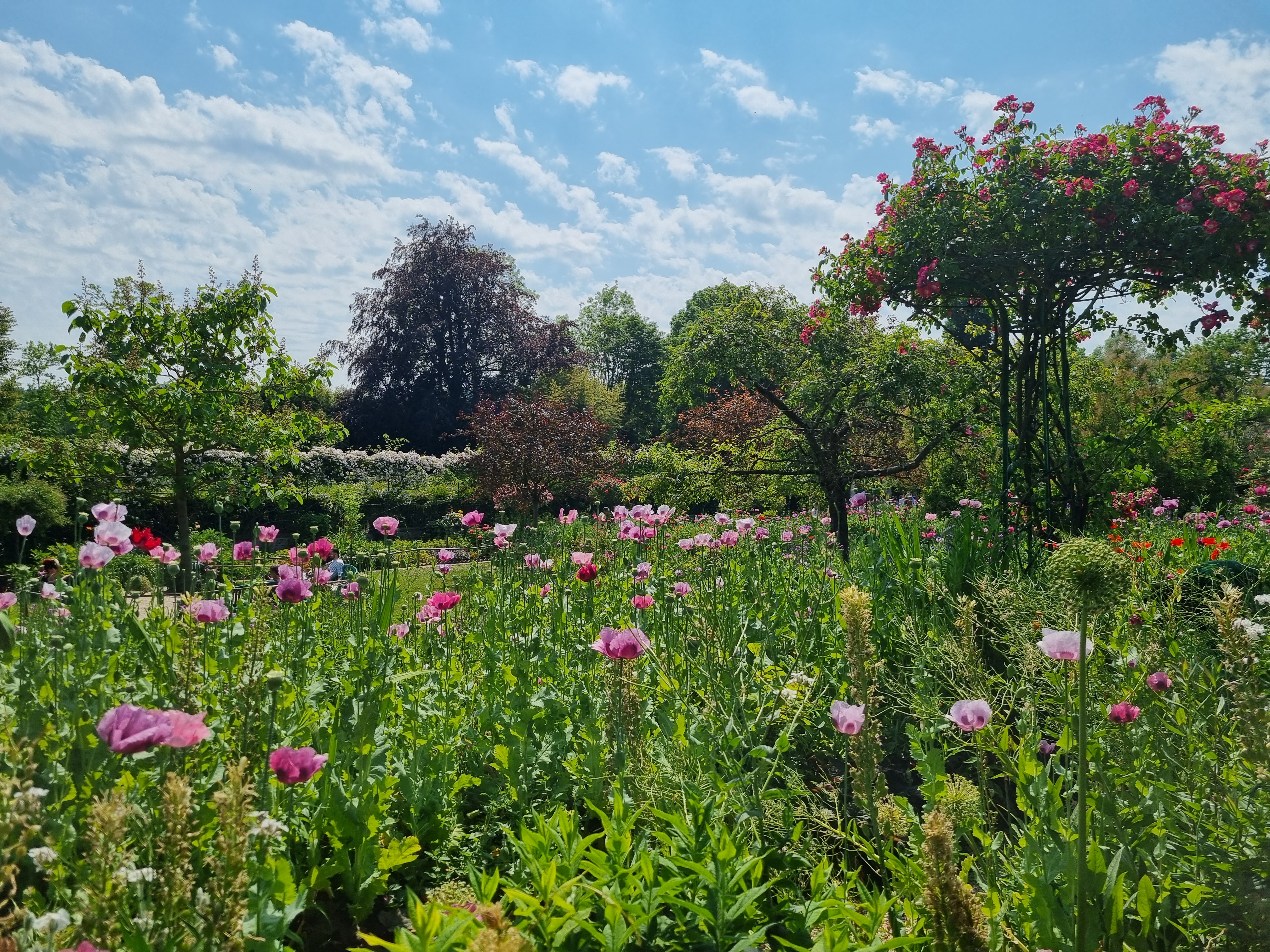 Photo n° 27 de l'avis de Sabine.o fait le 13/06/2023 à 19:16