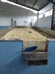 Peladora y secadora de maiz UNOCACH