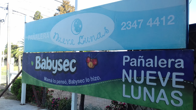 PAÑALERA NUEVE LUNAS