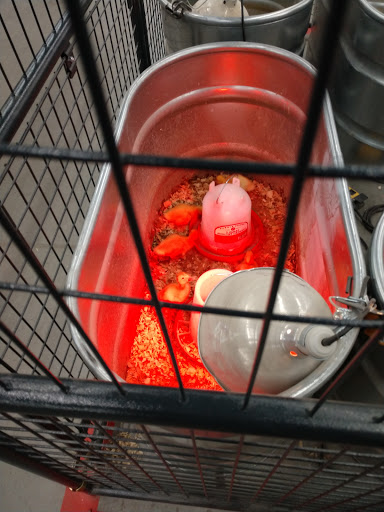 Home Improvement Store «Tractor Supply Co.», reviews and photos, 134 Bridge St, Pelham, NH 03076, USA