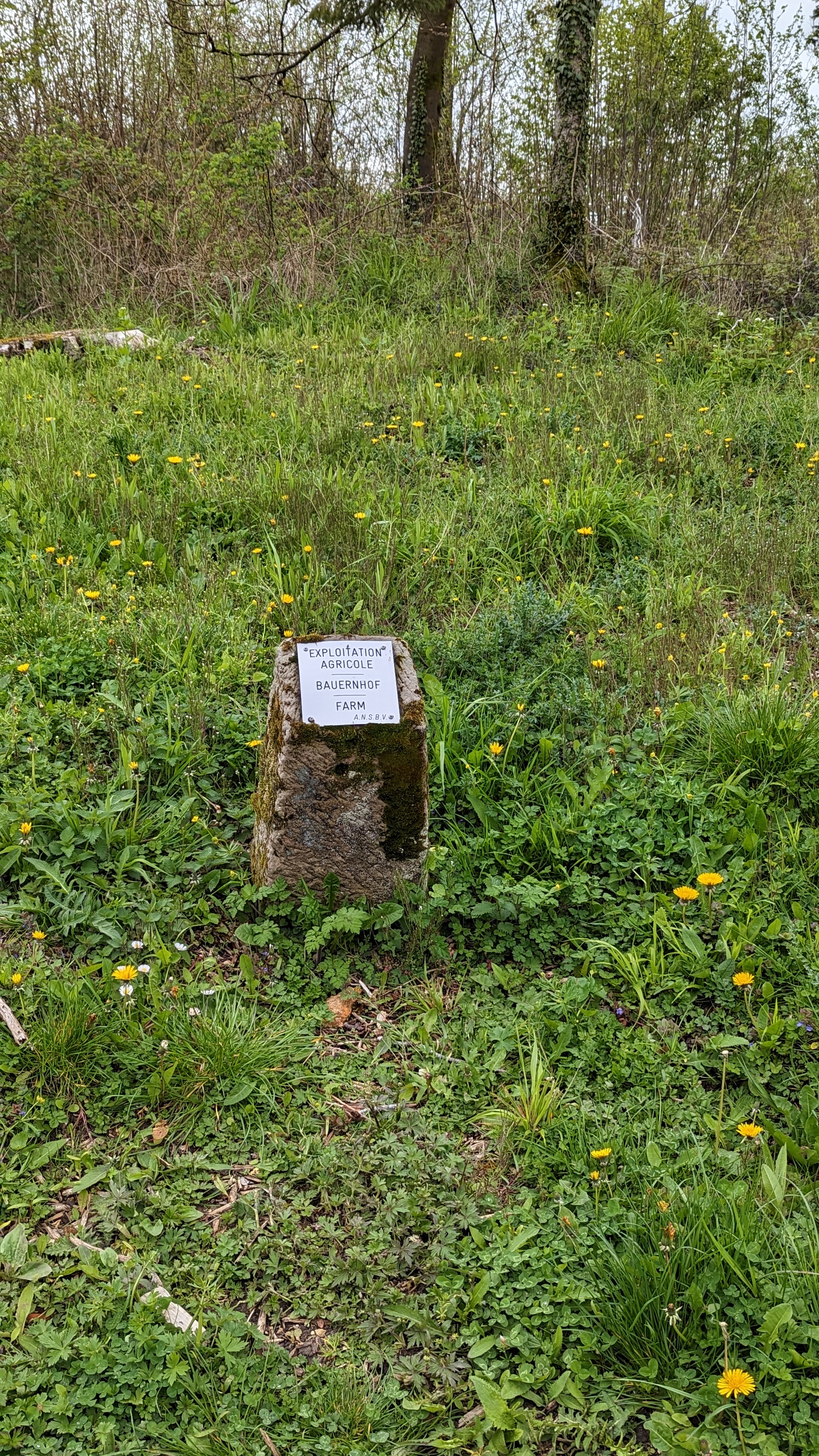Photo n° 3 de l'avis de Jörg.e fait le 08/05/2023 à 16:19