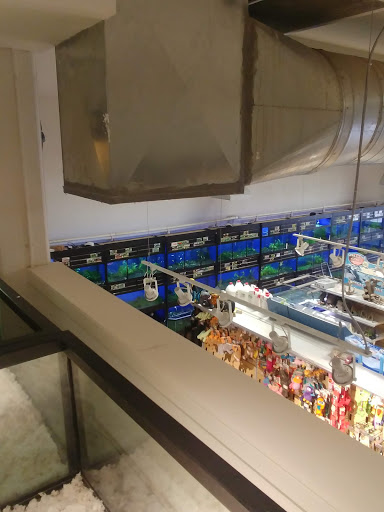 Pet Store «Critter Cabana», reviews and photos, 516 E 1st St, Newberg, OR 97132, USA