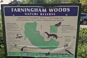 Farningham Wood Nature Reserve image
