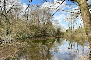 Allt-Yr-Yn Nature Reserve image