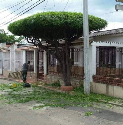 Servicio de jardinería y poda de árboles Colombia