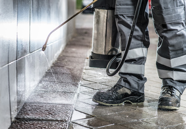 Rentokil Pest Control - Leicester - Pest control service