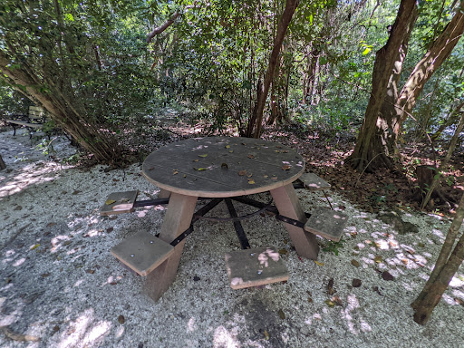 Park «Simpson Park», reviews and photos, 5 SW 17th Rd, Miami, FL 33129, USA