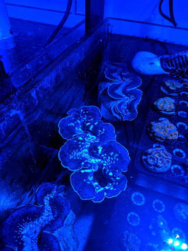 Aquarium «FJW AQUARIUM», reviews and photos, 3839 Mangum Rd, Houston, TX 77092, USA