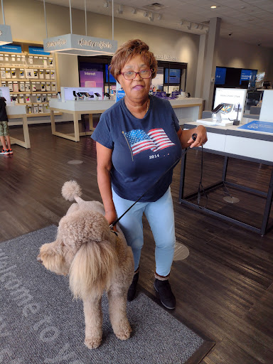 Movie Theater «Regal Cinemas Streets of Indian Lake 16 & IMAX», reviews and photos, 300 Indian Lake Blvd, Hendersonville, TN 37075, USA