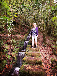 Parque de estacionamento - Ribeiro Frio