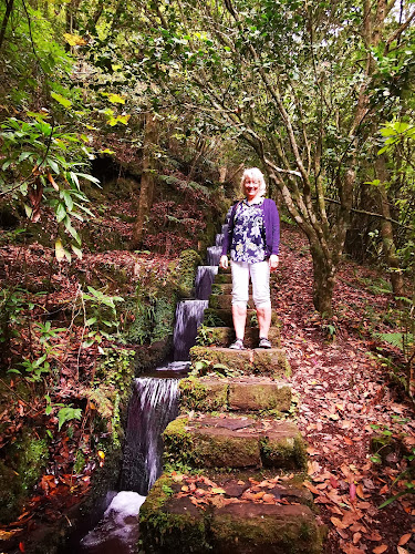 Parque de estacionamento - Ribeiro Frio