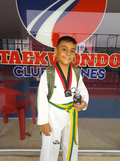 Taekwondo Club Titanes