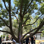 Photo n°15 de l'avis de Stefano.t fait le 28/06/2022 à 18:08 sur le  Villa di Veio à Rome