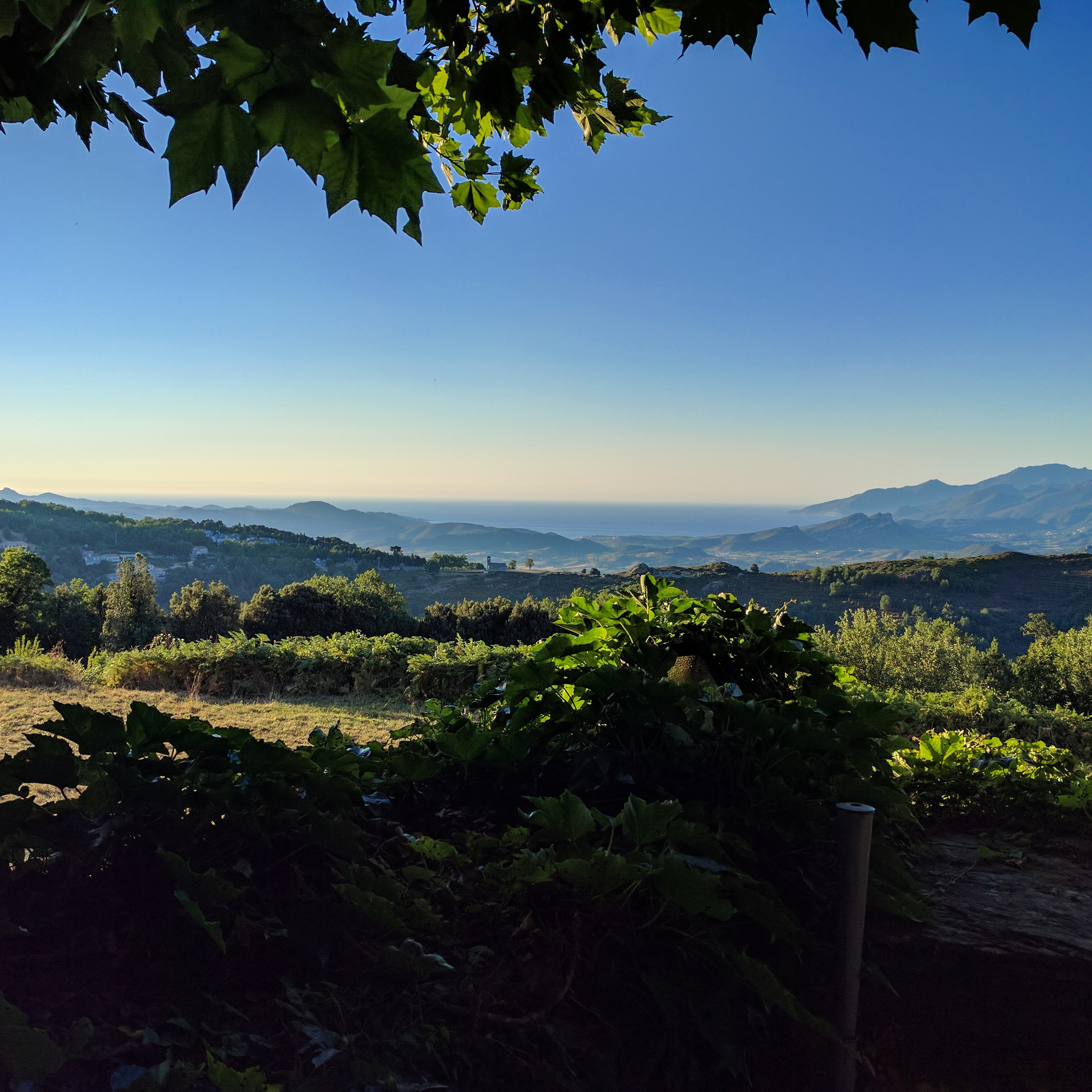 Photo n° 1 de l'avis de Jean-Baptiste.i fait le 25/07/2017 à 17:39