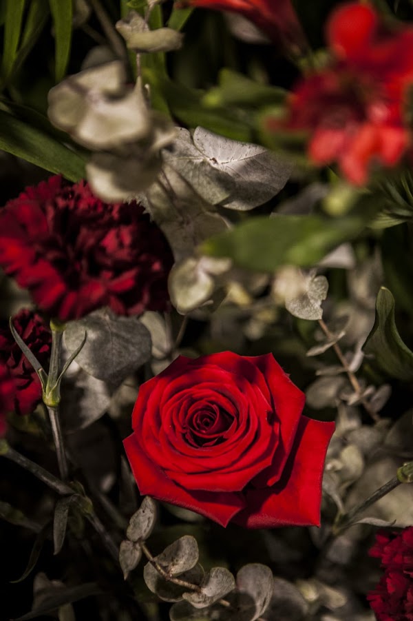 ZU FLORISTERIA Zu Loredenda Eta Dekorazioa