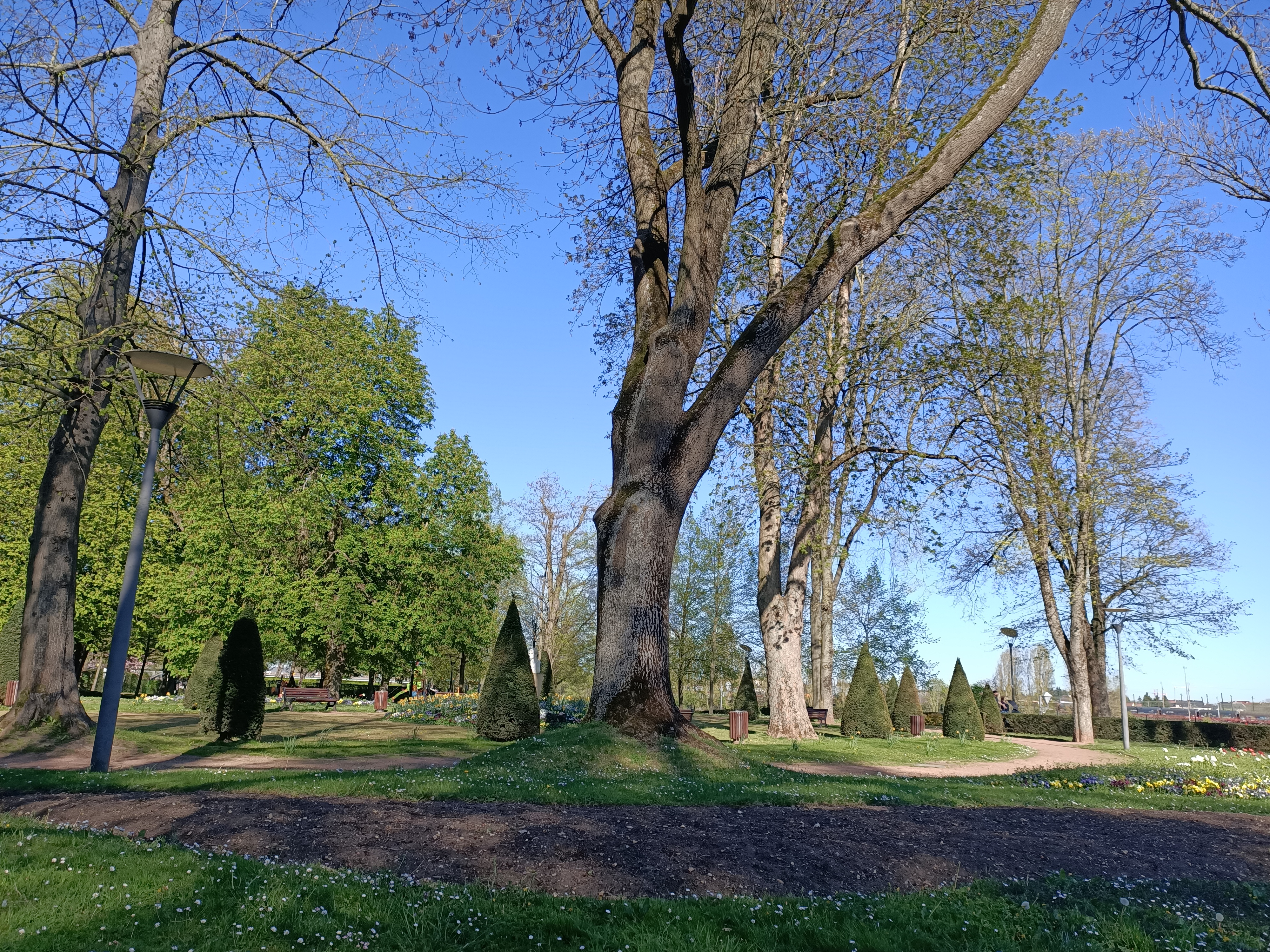 Photo n° 7 de l'avis de lien.t fait le 25/04/2021 à 16:06