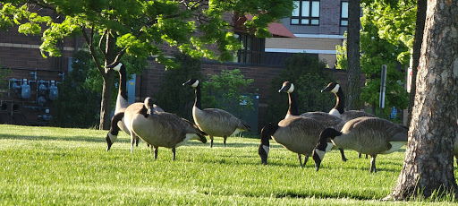 Park «Purgatory Creek Park Pavilion», reviews and photos, 13001 Technology Dr, Eden Prairie, MN 55344, USA