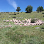 Photo n°1 de l'avis de Giovanni.e fait le 15/08/2018 à 21:31 sur le  Festa della Tosatura e Artigianato à Poggio Bustone