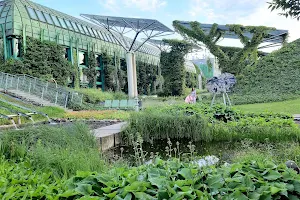 Warsaw University Library Garden image