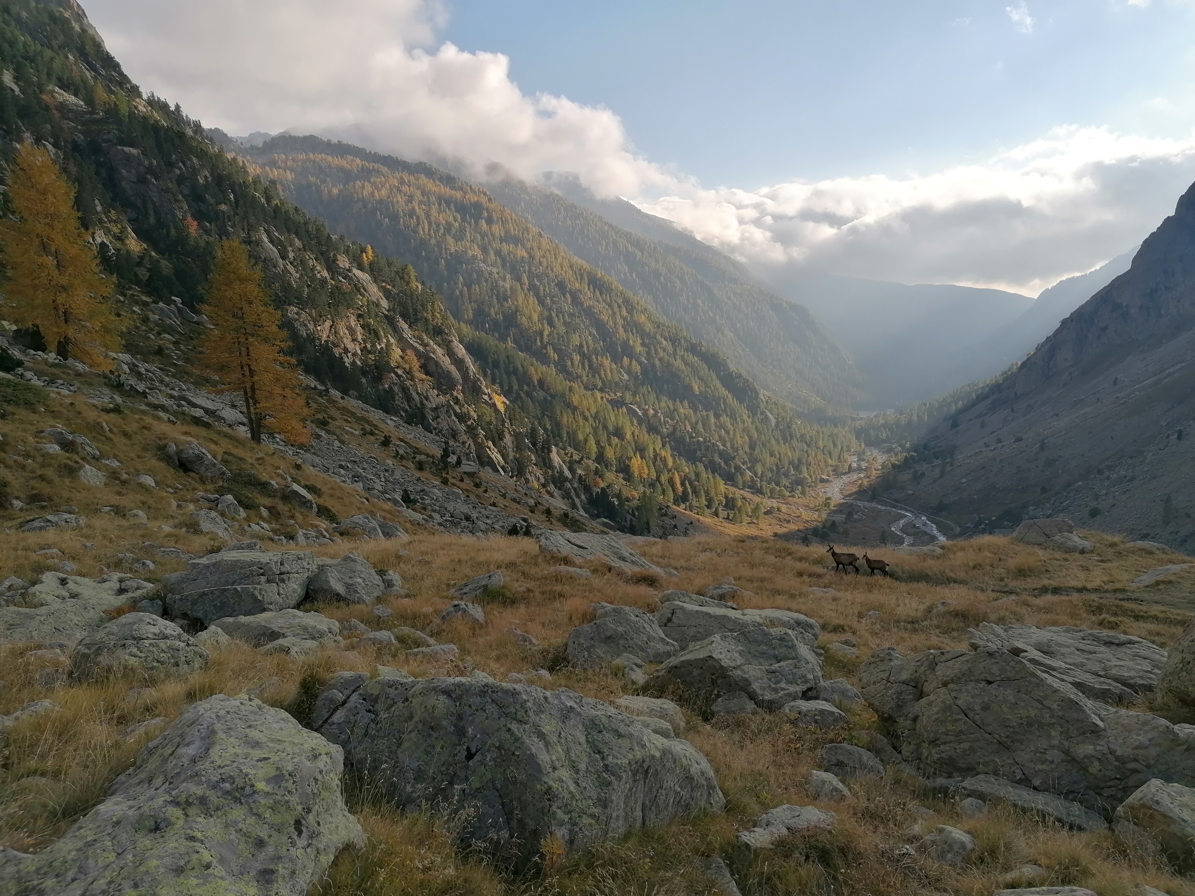 Photo n° 19 de l'avis de LE.O fait le 18/10/2021 à 08:33