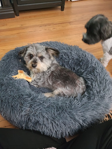 Pet Supply Store «PetSmart», reviews and photos, 400 Universal Dr N, North Haven, CT 06473, USA