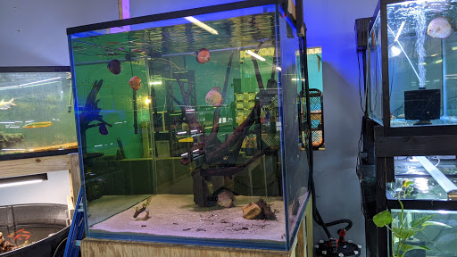 Aquarium «Skoolz of Fish», reviews and photos, 1503 Chamberlayne Ave, Richmond, VA 23222, USA