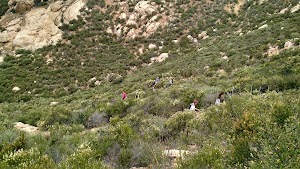 Iron Mountain Trailhead - photo 27