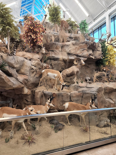 Shopping Mall «Eden Prairie Center», reviews and photos, 8251 Flying Cloud Dr, Eden Prairie, MN 55344, USA