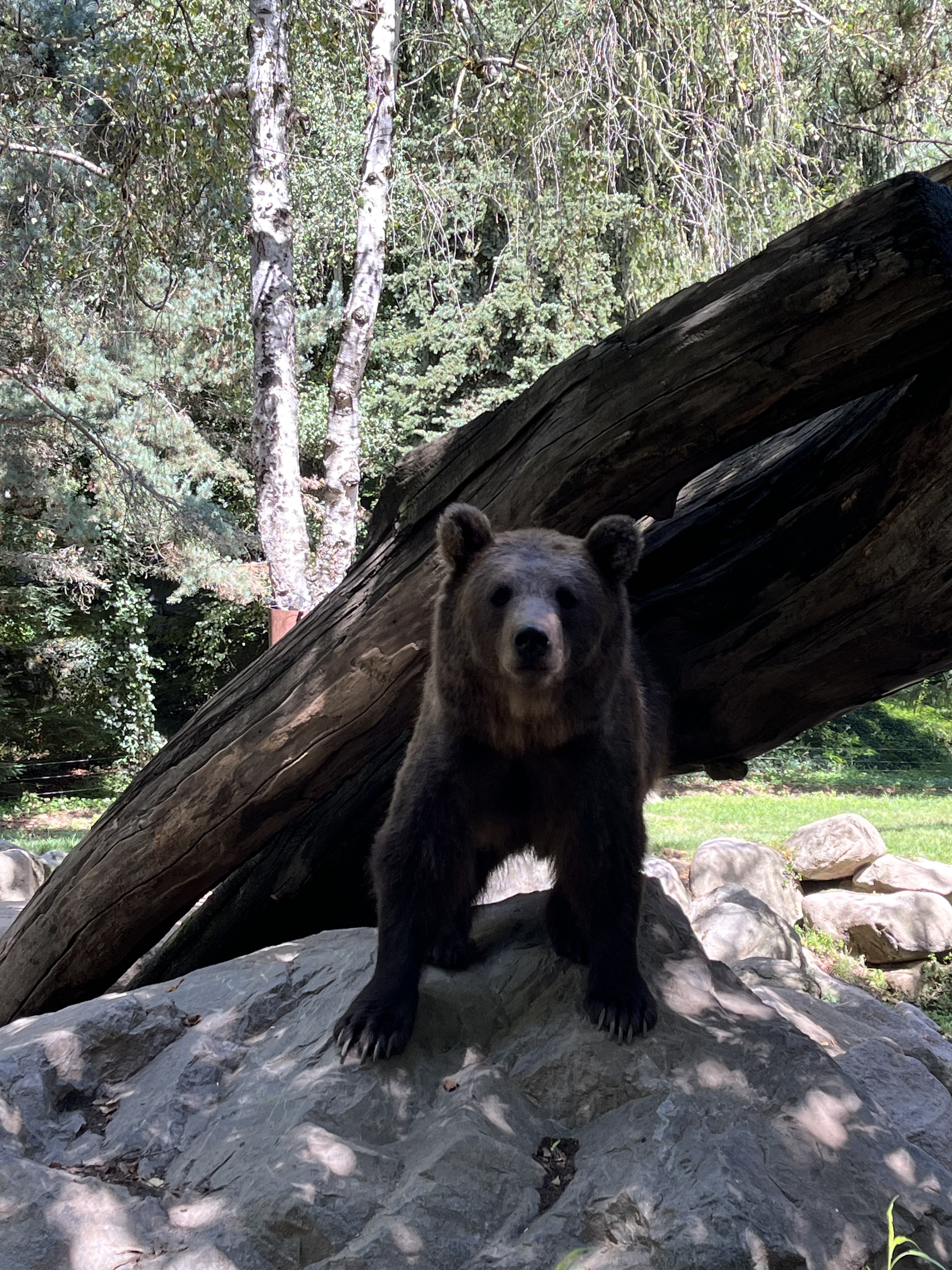 Photo n° 1 de l'avis de Clémence. fait le 06/08/2023 à 16:21