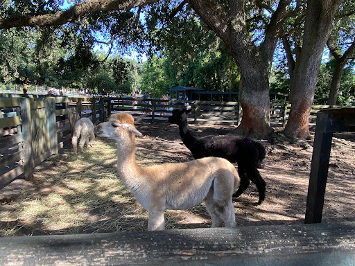 Stable «Lawton Stables», reviews and photos, 190 Greenwood Dr, Hilton Head Island, SC 29928, USA