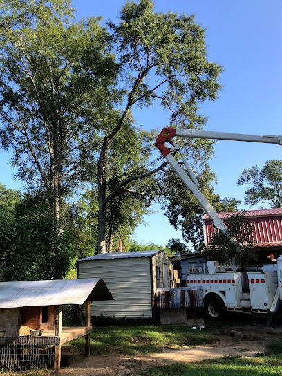 Stumped Tree Services