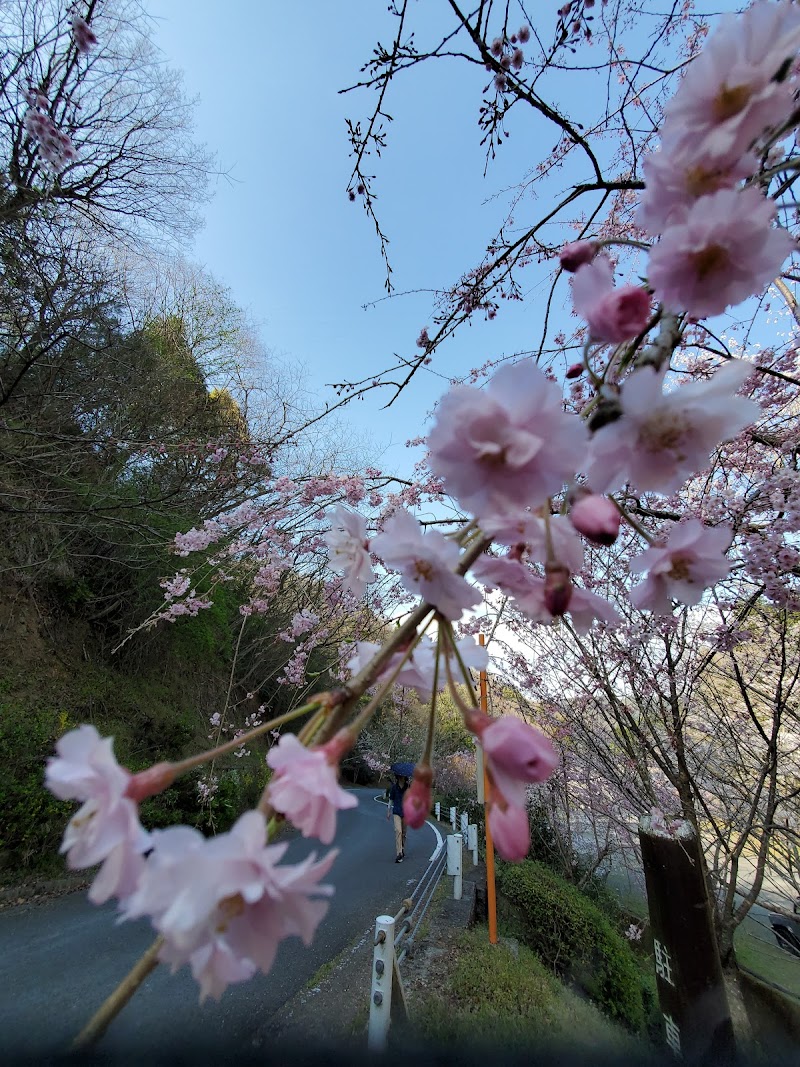 えひめ森林公園駐車場