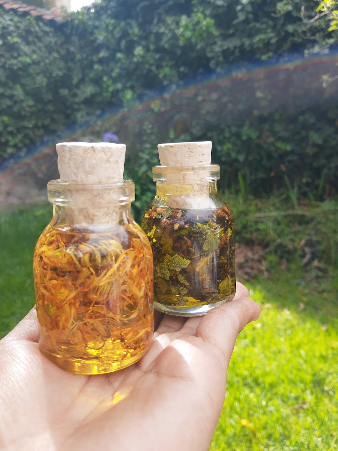 Envases y Maquinas