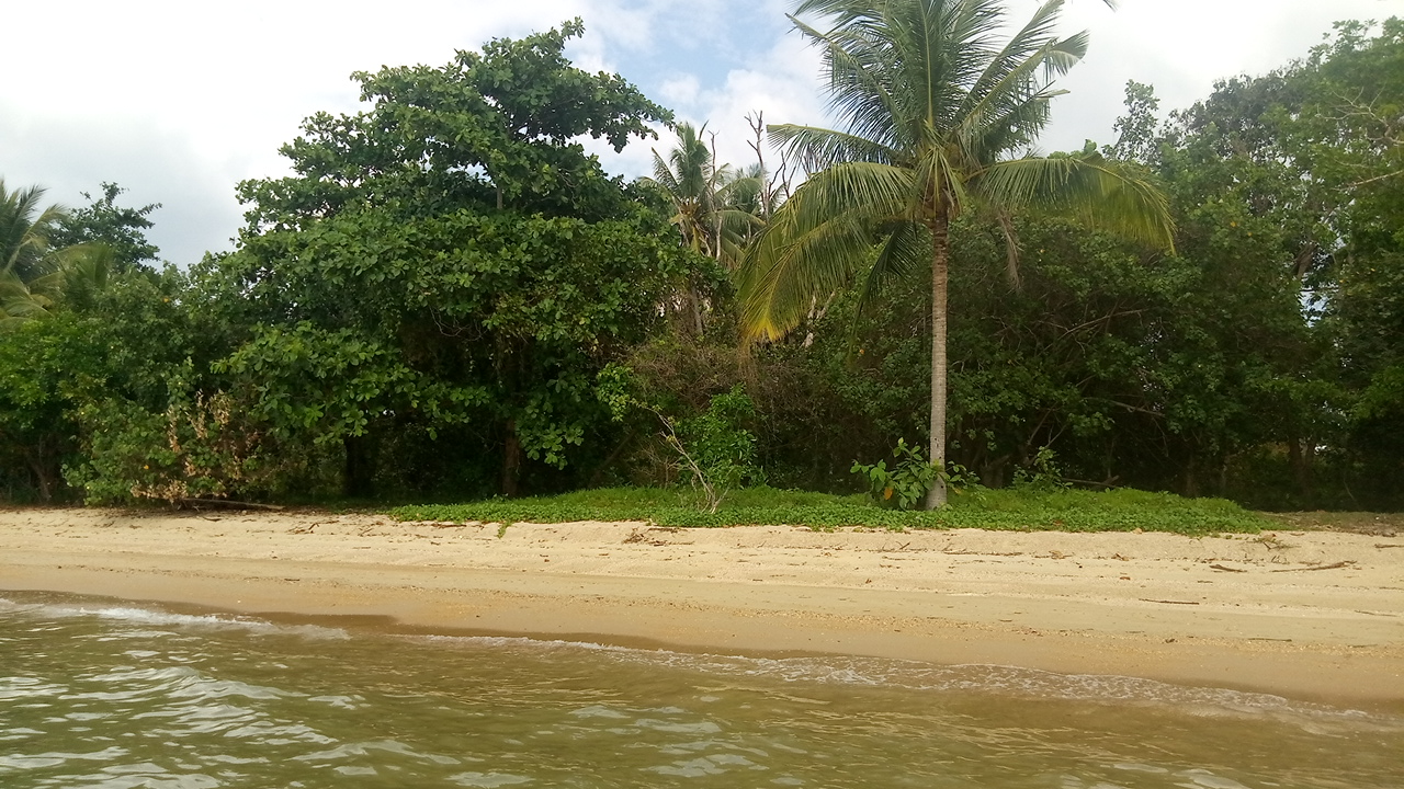 Photo of Thalane Beach with long straight shore