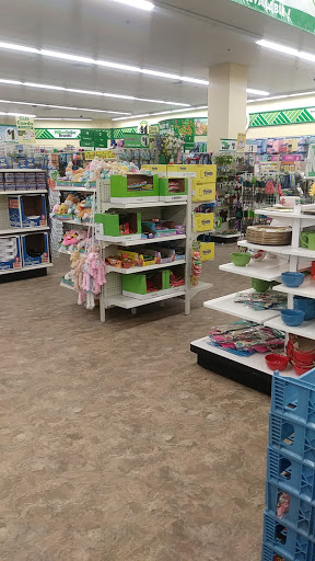 Dollar Store «Dollar Tree», reviews and photos, 154 S Broadway, Lawrence, MA 01843, USA