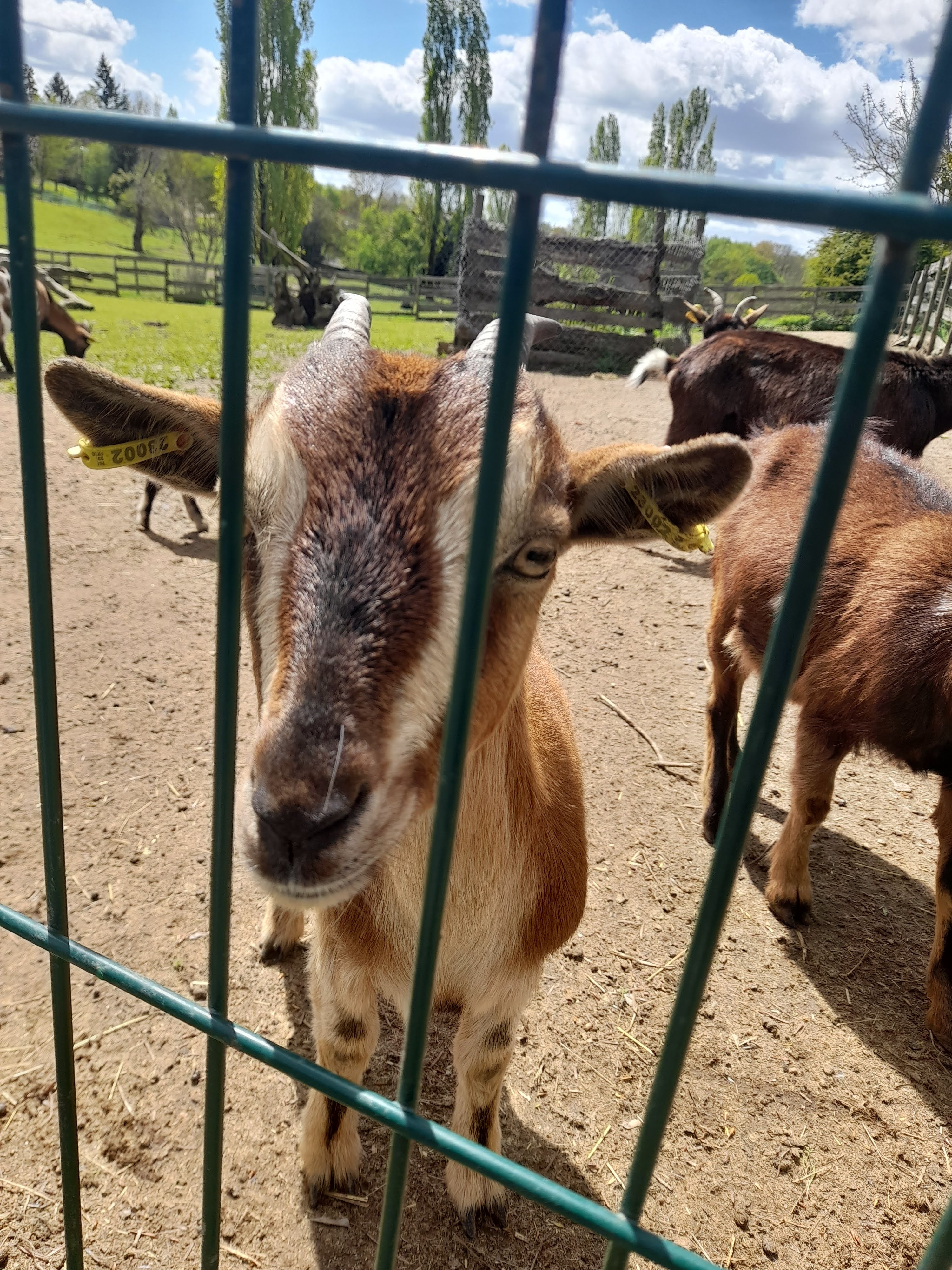 Photo n° 7 de l'avis de Pascale.h fait le 23/04/2023 à 15:29