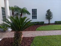 Landscaping LLC - Photo 6 - Car repair in Orlando, FL, Orlando
