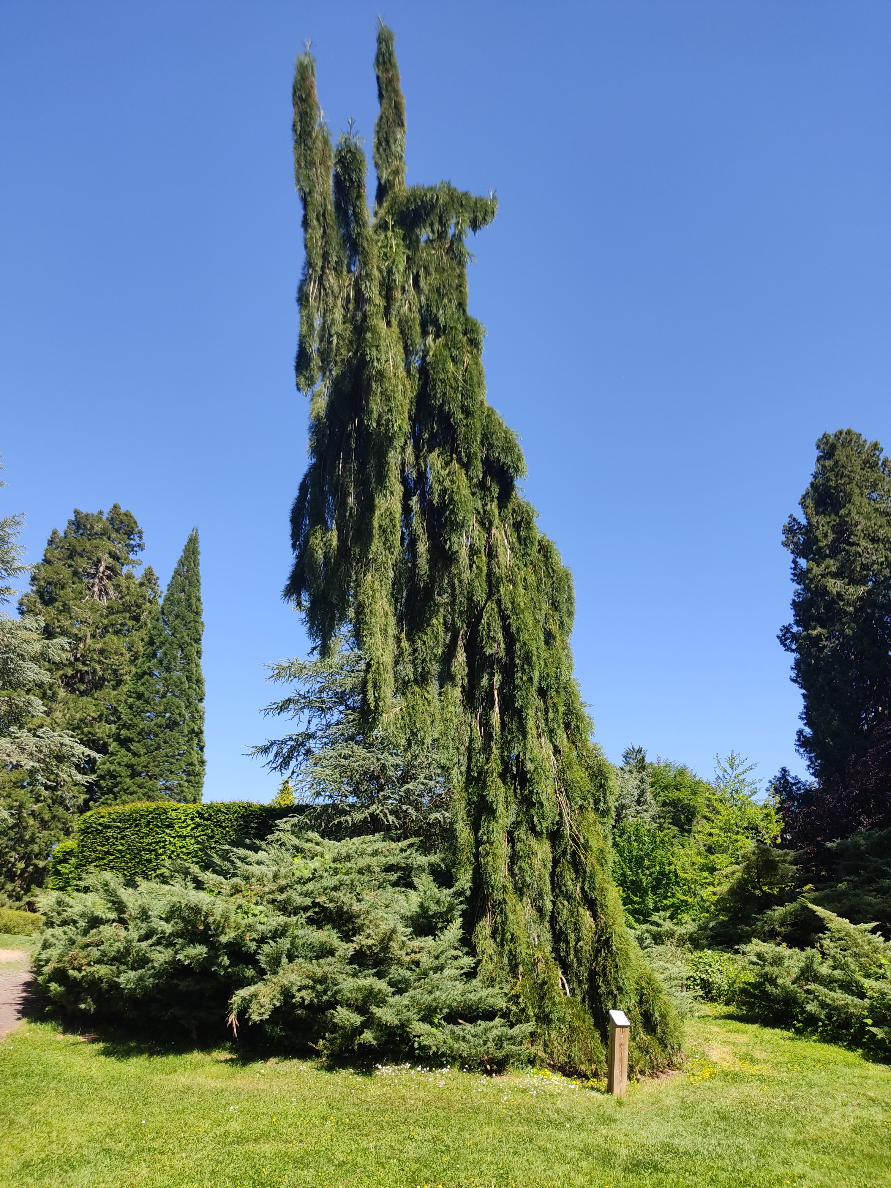 Photo n° 22 de l'avis de David.i fait le 29/05/2022 à 19:15