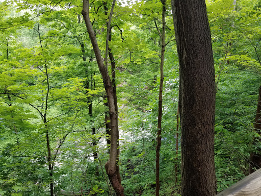 Tourist Attraction «Brandywine Gorge Trail», reviews and photos, 8176 Brandywine Rd, Sagamore Hills, OH 44067, USA