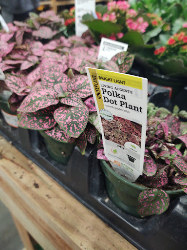 Home Improvement Store «The Home Depot», reviews and photos, 5900 SW Huntoon St, Topeka, KS 66604, USA