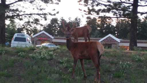 Shopping Mall «Bergen Village Shopping Center», reviews and photos, 1240 Bergen Pkwy, Evergreen, CO 80439, USA