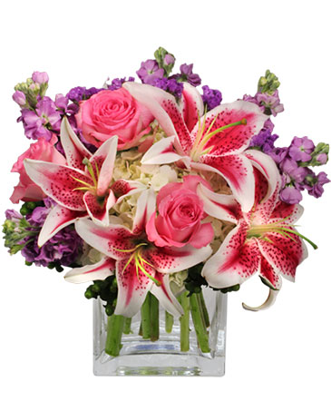ARIEL BETHESDA FLORIST & GIFT BASKETS, 7424 Crestberry Ln, Bethesda, MD 20817, USA, 