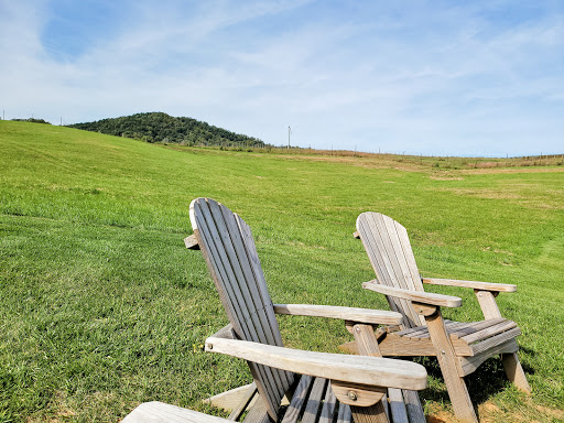 Vineyard «Early Mountain Vineyards», reviews and photos, 6109 Wolftown-Hood Rd, Madison, VA 22727, USA