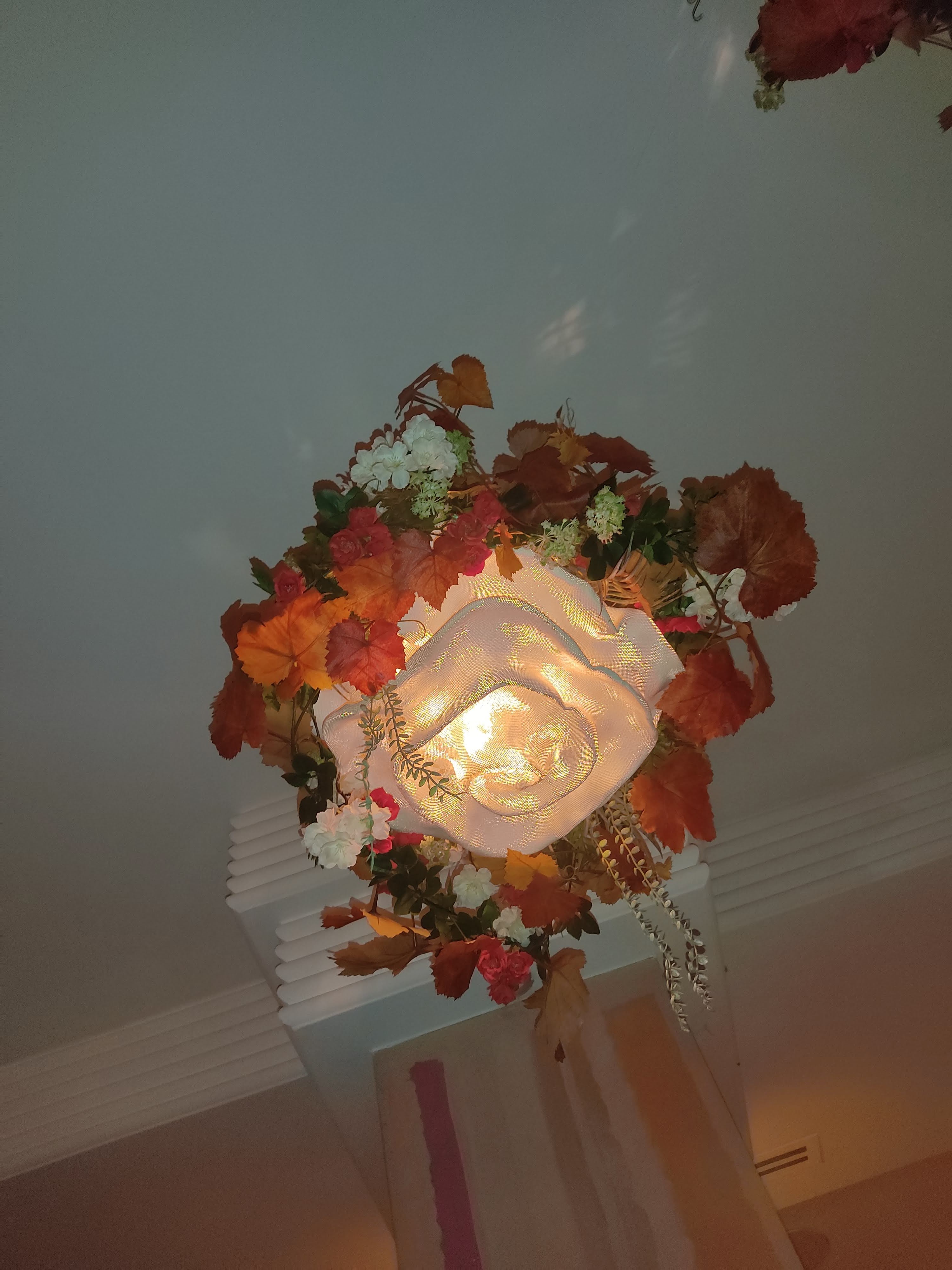 Photo n° 1 de l'avis de Gariné.a fait le 27/11/2021 à 10:12