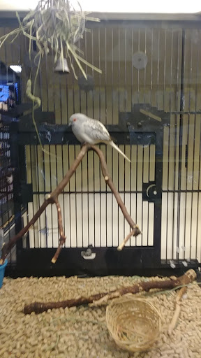 Pet Supply Store «PetSmart», reviews and photos, 2718 Legends Pkwy, Prattville, AL 36066, USA